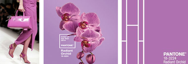 Pantone Radiant orchid