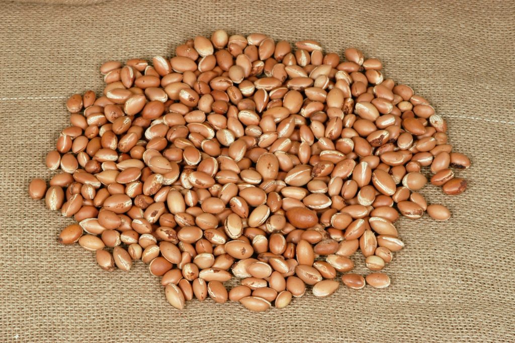 olio di argan semi