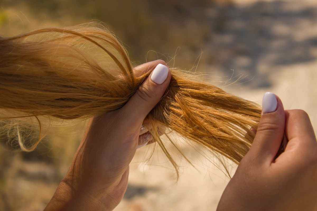 Capelli secchi e sfibrati