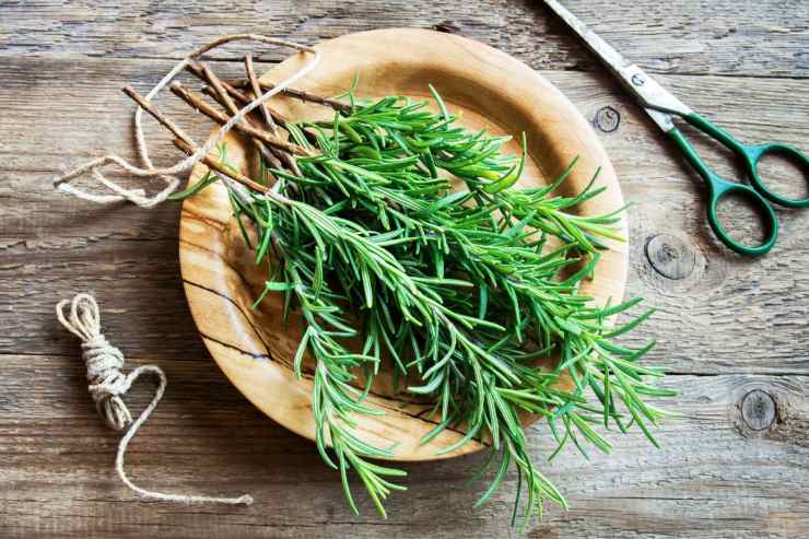 Il rosmarino per combattere la caduta dei tuoi capelli