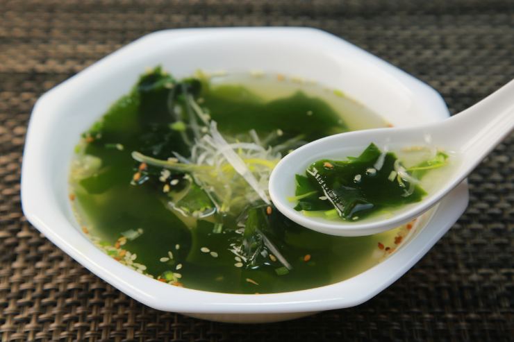 zuppa di alghe
