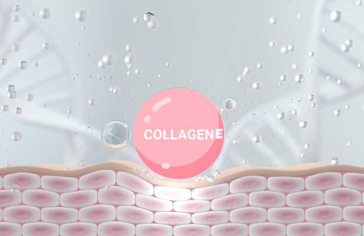 creme collagene