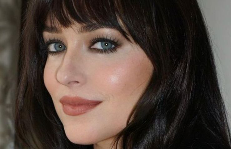 dakota johnson make up