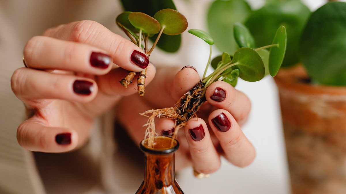 Dark Spring: la rivincita dei colori profondi sulle unghie "minimal"